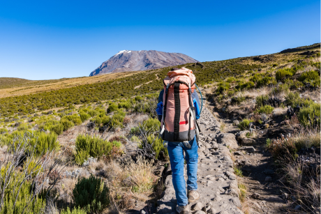 Kilimanjaro