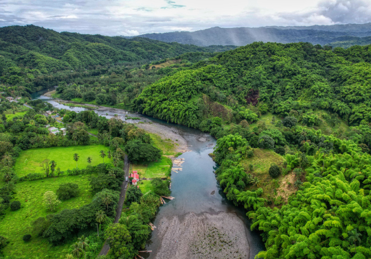 Jamaica