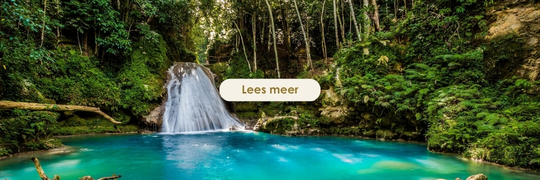 Westelijke Caribbean