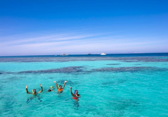 TUI excursies