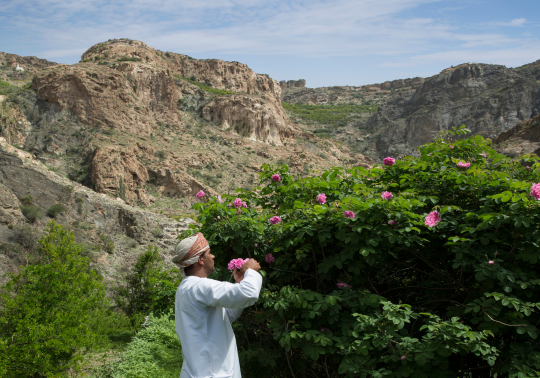 Oman