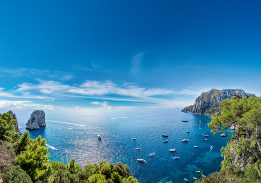 MSC-Cruises