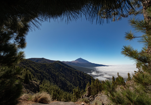 Tenerife 