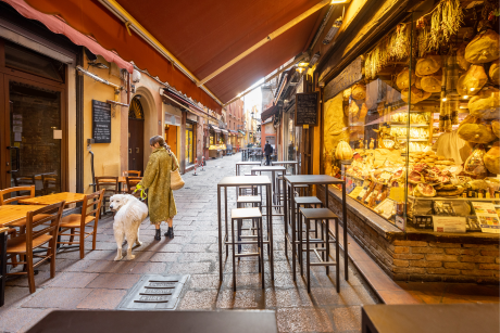 Stedentrip Bologna