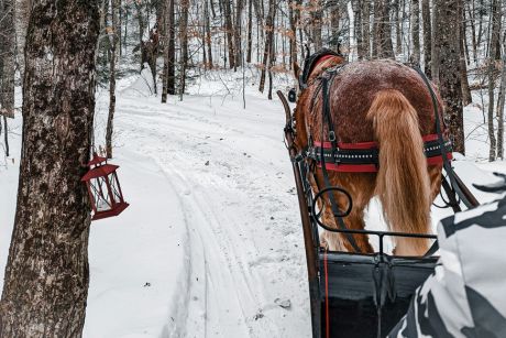 wintersport
