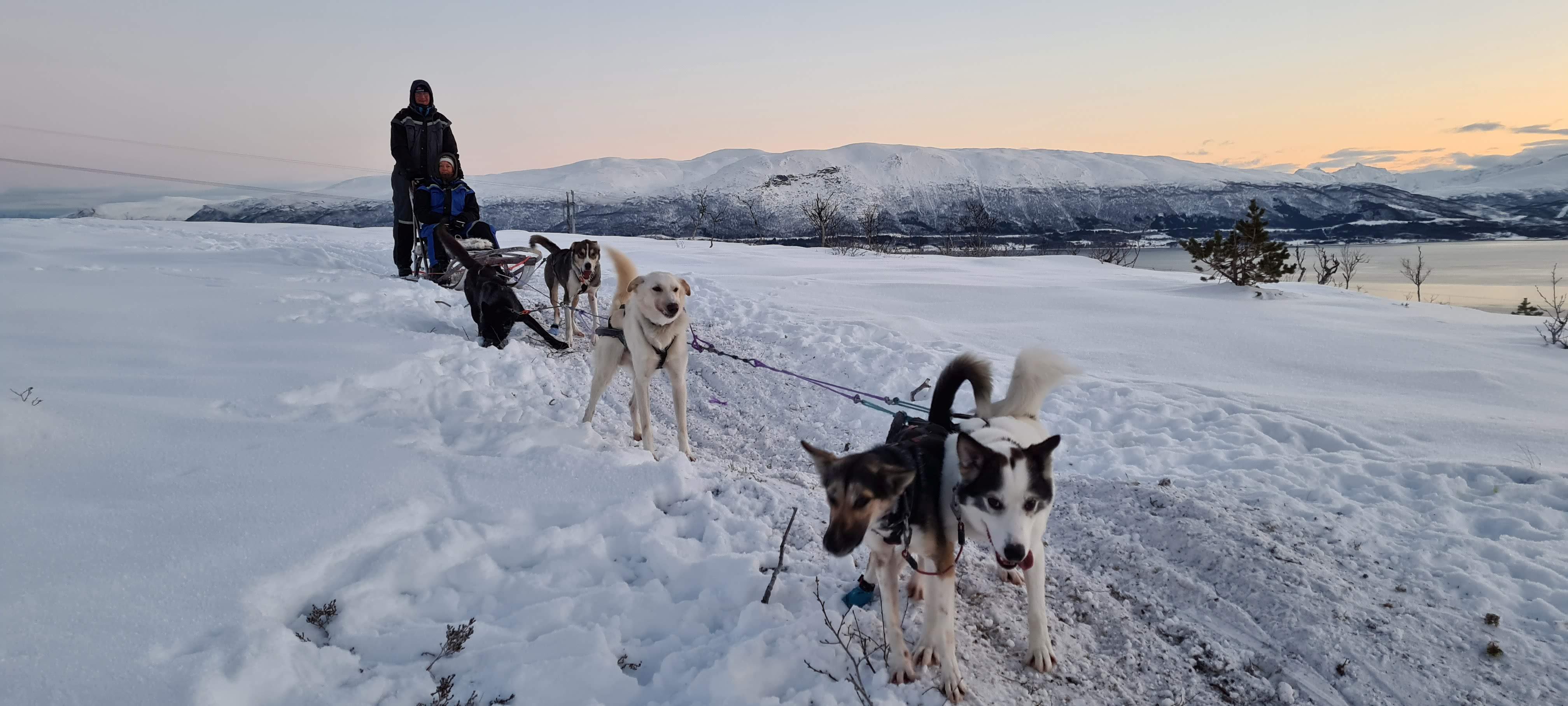 Stedentrip Tromso Noorwegen