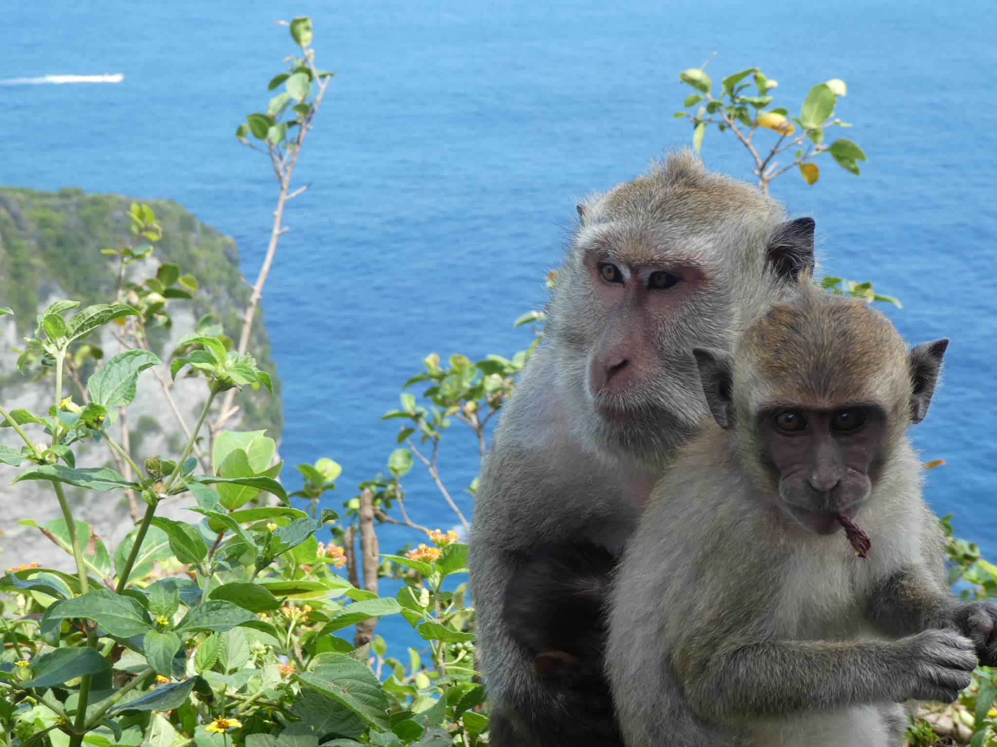 Nusa Penida