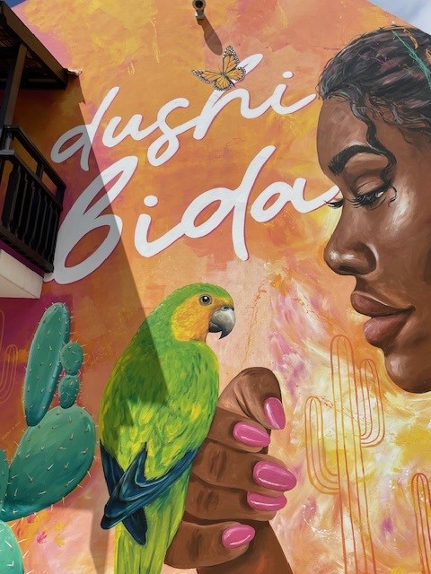 dushi curaçao 