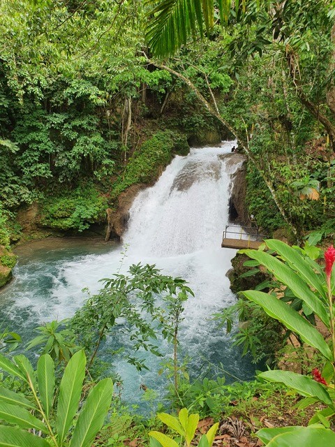 Gully Falls