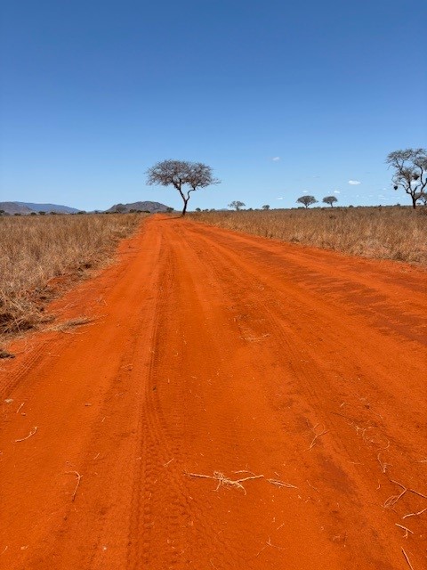 Kenia Safari