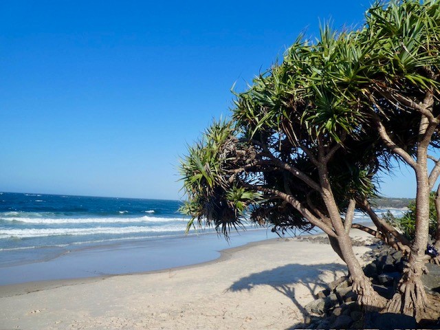 strand