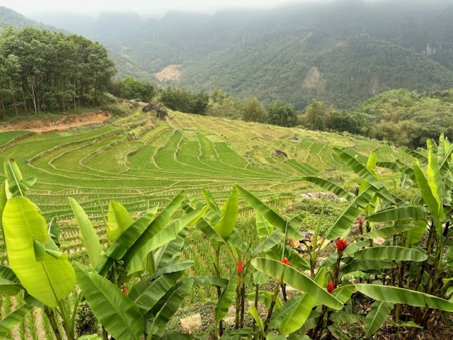 Vietnam Pu Luong